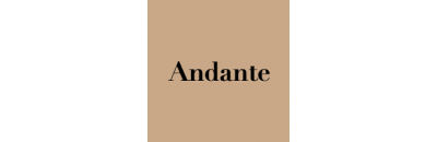 Logo Andante Shoes
