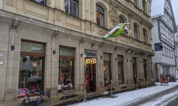 Kolibri Ulm