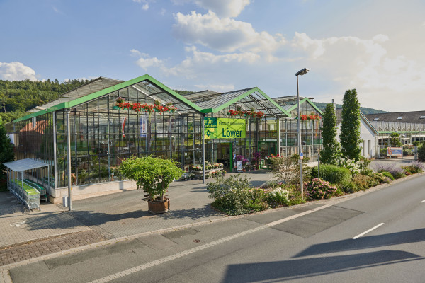 Löwer GmbH