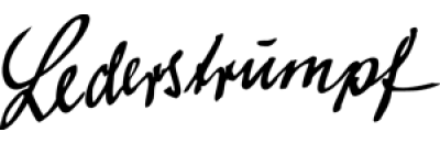 Logo Lederstrumpf