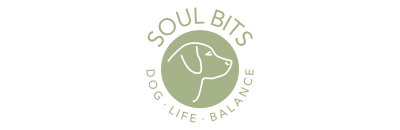 Logo Soul Bits